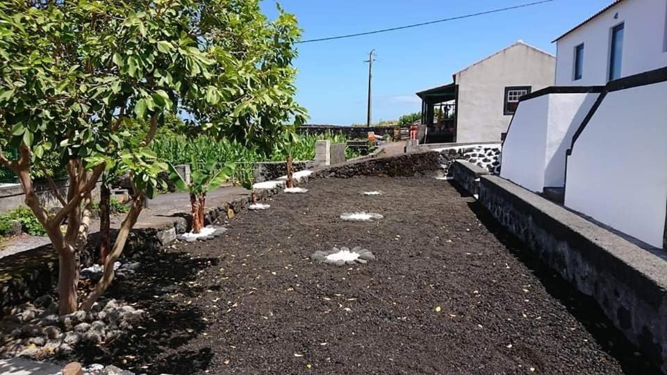 Azores Black Mountain House, Estudio E T2 Ilha Do Pico Сан-Роки-ду-Пику Экстерьер фото